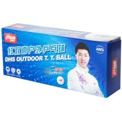 DHS D40+ Outdoor 10 Balls (seam)