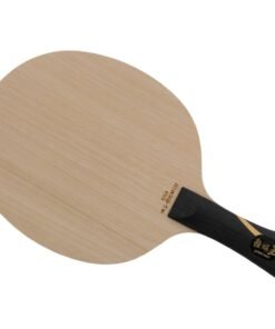 DHS Hurricane King (Wang Chuqin)