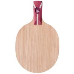 DHS Bo 2X Carbon Ch.Pen