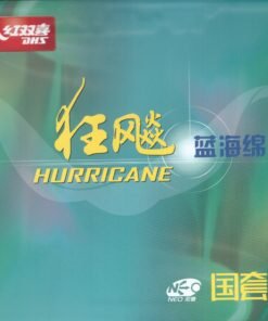 DHS Hurricane 3 Neo National 40'(blue sponge)
