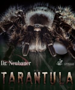Dr.Neubauer Tarantula