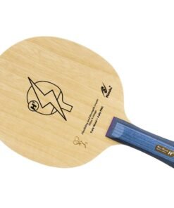 Nittaku Hina Hayata H2