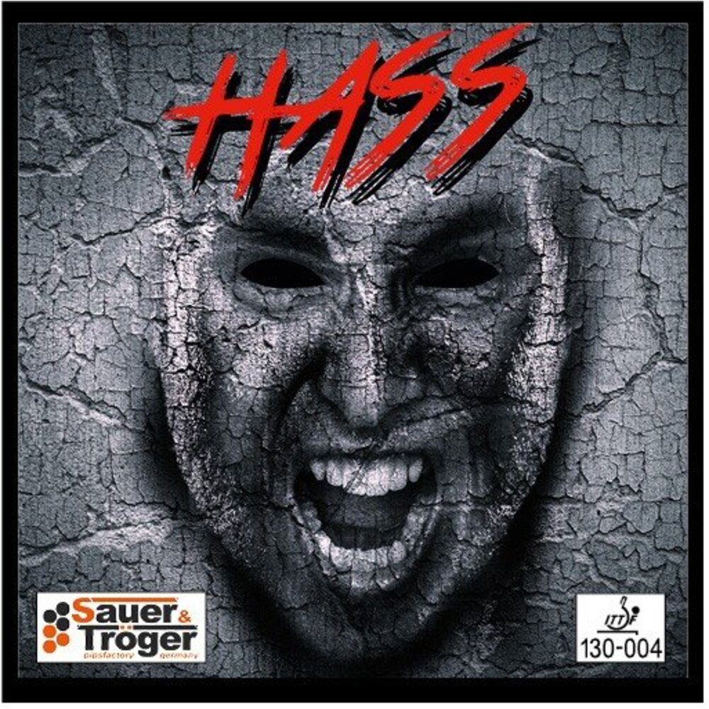 Sauer Tröger Hass