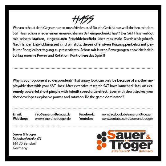 Sauer Tröger Hass - Image 2