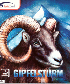 Spinlord Gipfelsturm