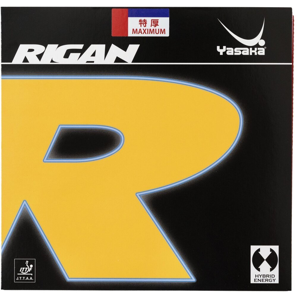 Yasaka Rigan