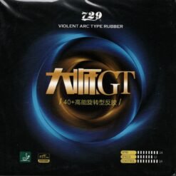 Friendship 729 Battle GT